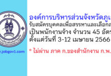 องค์การบริหารส่วนจังหวัดภูเก็ต รับสมัครบุคคลเพื่อสรรหาและเลือกสรรเป็นพนักงานจ้าง 45 อัตรา