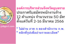 องค์การบริหารส่วนจังหวัดอุบลราชธานี รับสมัครบุคคลเพื่อสรรหาและเลือกสรรเป็นพนักงานจ้าง 50 อัตรา