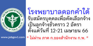 โรงพยาบาลดอกคำใต้ รับสมัครลูกจ้างชั่วคราว 2 อัตรา