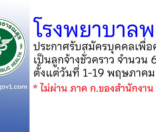 โรงพยาบาลพยุห์ รับสมัครบุคคลเพื่อคัดเลือกเป็นลูกจ้างชั่วคราว 6 อัตรา
