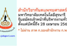 สำนักวิชาทันตแพทยศาสตร์ มหาวิทยาลัยเทคโนโลยีสุรนารี รับสมัครเจ้าหน้าที่บริหารงานทั่วไป