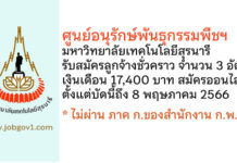 ศูนย์อนุรักษ์พันธุกรรมพืชฯ มหาวิทยาลัยเทคโนโลยีสุรนารี รับสมัครลูกจ้างชั่วคราว 3 อัตรา