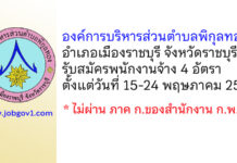 องค์การบริหารส่วนตำบลพิกุลทอง รับสมัครบุคคลเพื่อสรรหาและเลือกสรรเป็นพนักงานจ้าง 4 อัตรา