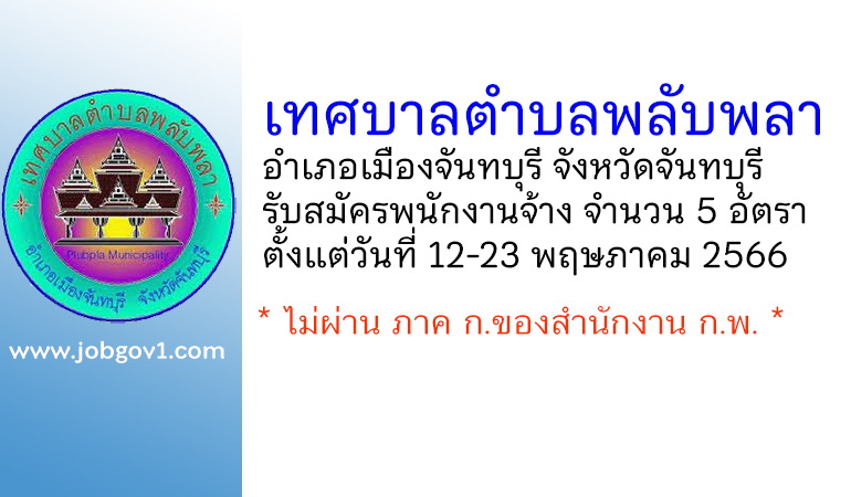 เทศบาลตำบลพลับพลา รับสมัครบุคคลเพื่อสรรหาและเลือกสรรเป็นพนักงานจ้าง 5 อัตรา