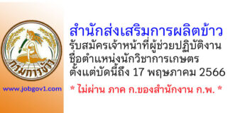 สำนักส่งเสริมการผลิตข้าว รับสมัครเจ้าหน้าที่ผู้ช่วยปฏิบัติงาน ตำแหน่งนักวิชาการเกษตร