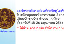 องค์การบริหารส่วนจังหวัดสุโขทัย รับสมัครบุคคลเพื่อสรรหาและเลือกสรรเป็นพนักงานจ้าง 13 อัตรา