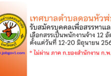 เทศบาลตำบลดอนหัวฬ่อ รับสมัครบุคคลเพื่อสรรหาและเลือกสรรเป็นพนักงานจ้าง 12 อัตรา