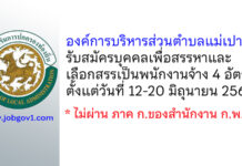 องค์การบริหารส่วนตำบลแม่เปา รับสมัครบุคคลเพื่อสรรหาและเลือกสรรเป็นพนักงานจ้าง 4 อัตรา