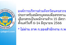 องค์การบริหารส่วนจังหวัดนครสวรรค์ รับสมัครบุคคลเพื่อสรรหาและเลือกสรรเป็นพนักงานจ้าง 15 อัตรา