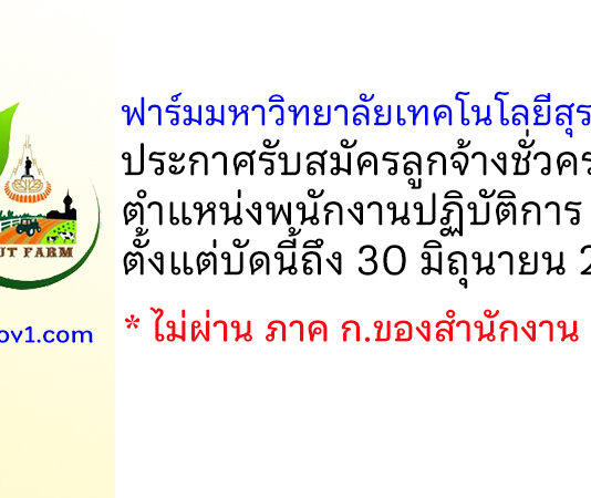 ฟาร์มมหาวิทยาลัย มหาวิทยาลัยเทคโนโลยีสุรนารี รับสมัครลูกจ้างชั่วคราว ตำแหน่งพนักงานปฏิบัติการ