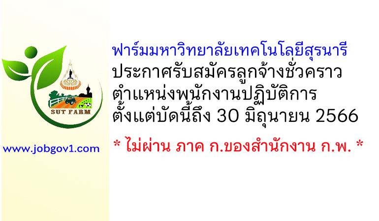 ฟาร์มมหาวิทยาลัย มหาวิทยาลัยเทคโนโลยีสุรนารี รับสมัครลูกจ้างชั่วคราว ตำแหน่งพนักงานปฏิบัติการ