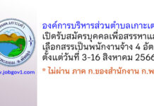องค์การบริหารส่วนตำบลเกาะเต่า รับสมัครบุคคลเพื่อสรรหาและเลือกสรรเป็นพนักงานจ้าง 4 อัตรา