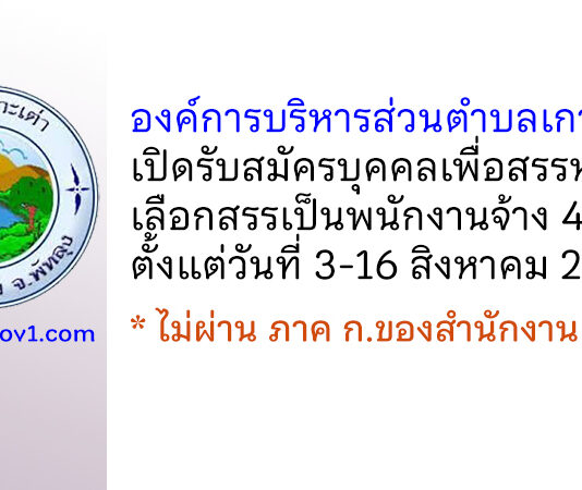 องค์การบริหารส่วนตำบลเกาะเต่า รับสมัครบุคคลเพื่อสรรหาและเลือกสรรเป็นพนักงานจ้าง 4 อัตรา
