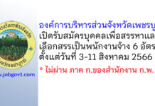 องค์การบริหารส่วนจังหวัดเพชรบูรณ์ รับสมัครบุคคลเพื่อสรรหาและเลือกสรรเป็นพนักงานจ้าง 6 อัตรา