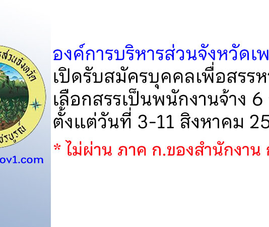 องค์การบริหารส่วนจังหวัดเพชรบูรณ์ รับสมัครบุคคลเพื่อสรรหาและเลือกสรรเป็นพนักงานจ้าง 6 อัตรา