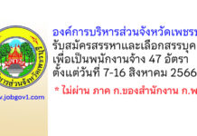 องค์การบริหารส่วนจังหวัดเพชรบุรี รับสมัครสรรหาและเลือกสรรบุคคลเพื่อเป็นพนักงานจ้าง 47 อัตรา