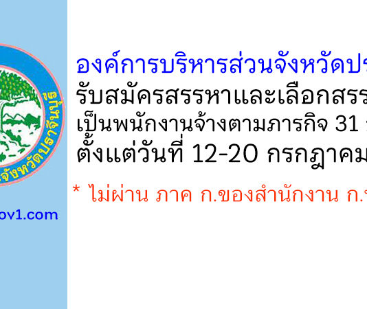 องค์การบริหารส่วนจังหวัดปราจีนบุรี รับสมัครสรรหาและเลือกสรรบุคคลเป็นพนักงานจ้างตามภารกิจ 31 อัตรา