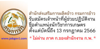 สำนักส่งเสริมการผลิตข้าว กรมการข้าว รับสมัครเจ้าหน้าที่ผู้ช่วยปฏิบัติงาน ตำแหน่งนักวิชาการเกษตร