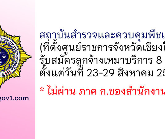 สถาบันสำรวจและควบคุมพืชเสพติด รับสมัครลูกจ้างเหมาบริการ 8 อัตรา