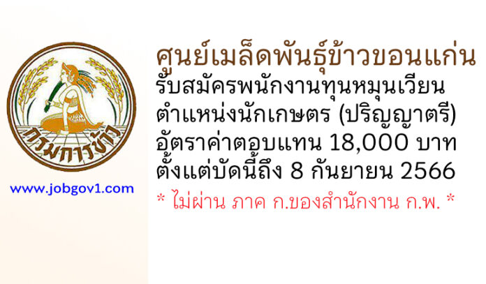 ศูนย์เมล็ดพันธุ์ข้าวขอนแก่น รับสมัครพนักงานทุนหมุนเวียน ตําแหน่งนักเกษตร