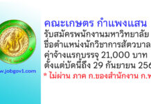คณะเกษตร กำแพงแสน รับสมัครพนักงานมหาวิทยาลัย ตำแหน่งนักวิชาการสัตวบาล