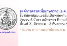 องค์การตลาดเพื่อเกษตรกร (อ.ต.ก.) รับสมัครสอบแข่งขันเป็นพนักงาน 6 อัตรา