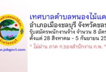 เทศบาลตำบลหนองไม้แดง รับสมัครสรรหาและเลือกบุคคลเพื่อเป็นพนักงานจ้าง 8 อัตรา