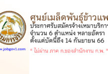 ศูนย์เมล็ดพันธุ์ข้าวแพร่ รับสมัครจ้างเหมาบริการ 6 ตำแหน่ง