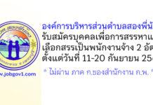 องค์การบริหารส่วนตำบลสองพี่น้อง รับสมัครบุคคลเพื่อการสรรหาและเลือกสรรเป็นพนักงานจ้าง 2 อัตรา
