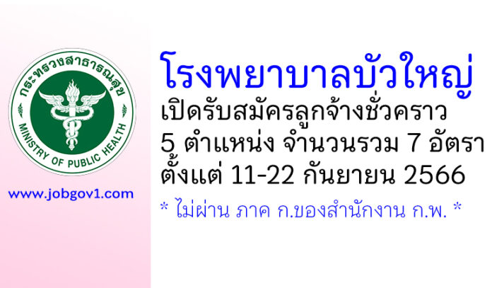 โรงพยาบาลบัวใหญ่ รับสมัครลูกจ้างชั่วคราว 5 ตำแหน่ง 7 อัตรา