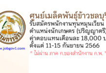 ศูนย์เมล็ดพันธุ์ข้าวชลบุรี รับสมัครพนักงานทุนหมุนเวียน ตำแหน่งนักเกษตร (ปริญญาตรี)