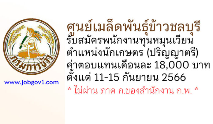 ศูนย์เมล็ดพันธุ์ข้าวชลบุรี รับสมัครพนักงานทุนหมุนเวียน ตำแหน่งนักเกษตร (ปริญญาตรี)