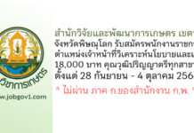 สำนักวิจัยและพัฒนาการเกษตร เขตที่ 2 จังหวัดพิษณุโลก รับสมัครพนักงานราชการทั่วไป ตำแหน่งเจ้าหน้าที่วิเคราะห์นโยบายและแผน