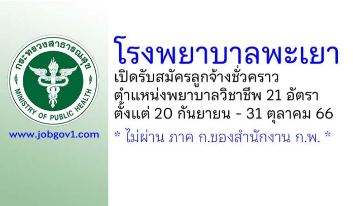 โรงพยาบาลพะเยา รับสมัครลูกจ้างชั่วคราว ตำแหน่งพยาบาลวิชาชีพ 21 อัตรา