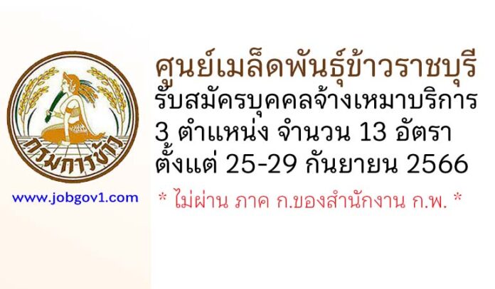 ศูนย์เมล็ดพันธุ์ข้าวราชบุรี รับสมัครบุคคลจ้างเหมาบริการ 3 ตำแหน่ง 13 อัตรา