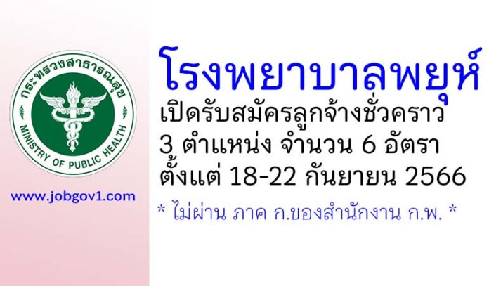 โรงพยาบาลพยุห์ รับสมัครลูกจ้างชั่วคราว 3 ตำแหน่ง 6 อัตรา