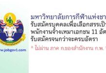 มหาวิทยาลัยการกีฬาแห่งชาติ รับสมัครบุคคลเพื่อเลือกสรรเป็นพนักงานจ้างเหมาเอกชน 11 อัตรา