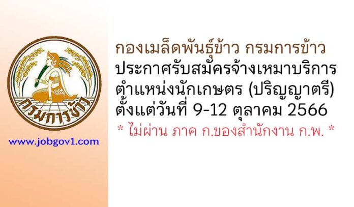 กองเมล็ดพันธุ์ข้าว กรมการข้าว รับสมัครจ้างเหมาบริการ ตำแหน่งนักเกษตร