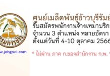 ศูนย์เมล็ดพันธุ์ข้าวบุรีรัมย์ รับสมัครพนักงานจ้างเหมาบริการ 3 ตำแหน่ง