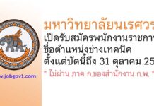 มหาวิทยาลัยนเรศวร รับสมัครพนักงานราชการ ตำแหน่งช่างเทคนิค