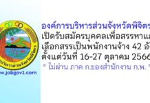องค์การบริหารส่วนจังหวัดพิจิตร รับสมัครบุคคลเพื่อสรรหาและเลือกสรรเป็นพนักงานจ้าง 42 อัตรา