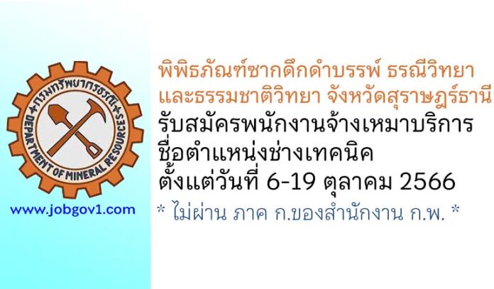 พิพิธภัณฑ์ซากดึกดำบรรพ์ ธรณีวิทยา และธรรมชาติวิทยา จังหวัดสุราษฎร์ธานี รับสมัครจ้างเหมาบริการ ตำแหน่งช่างเทคนิค