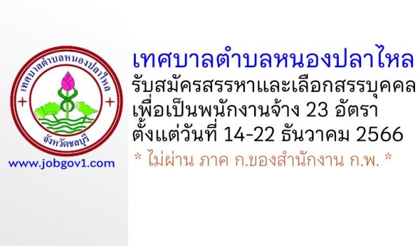 เทศบาลตำบลหนองปลาไหล รับสมัครสรรหาและเลือกสรรบุคคลเพื่อเป็นพนักงานจ้าง 26 อัตรา