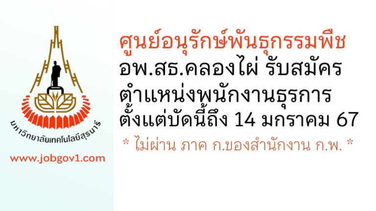 ศูนย์อนุรักษ์พันธุกรรมพืช อพ.สธ.คลองไผ่ รับสมัครลูกจ้างชั่วคราว ตำแหน่งพนักงานธุรการ