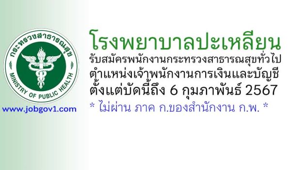 โรงพยาบาลปะเหลียน รับสมัครพนักงานกระทรวงสาธารณสุขทั่วไป ตำแหน่งเจ้าพนักงานการเงินและบัญชี
