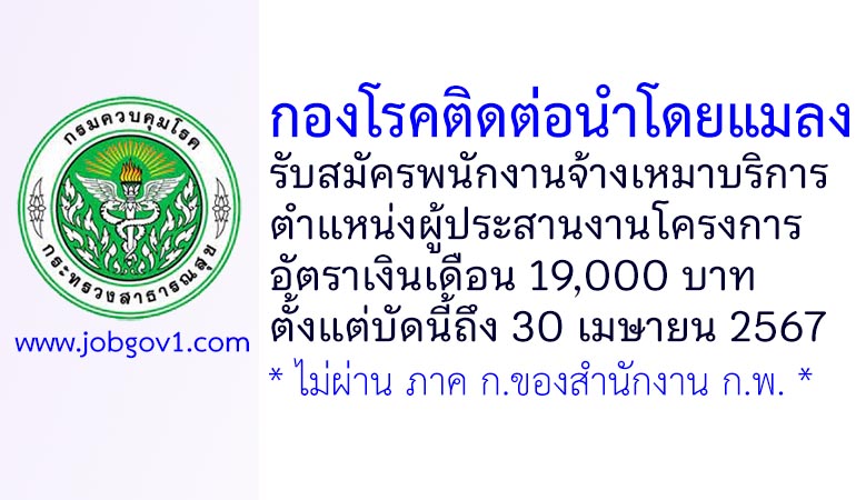 กองโรคติดต่อนำโดยแมลง รับสมัครพนักงานจ้างเหมาบริการ ตำแหน่งผู้ประสานงานโครงการ