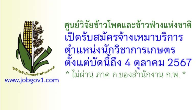 ศูนย์วิจัยข้าวโพดและข้าวฟ่างแห่งชาติ รับสมัครจ้างเหมาบริการ ตำแหน่งนักวิชาการเกษตร