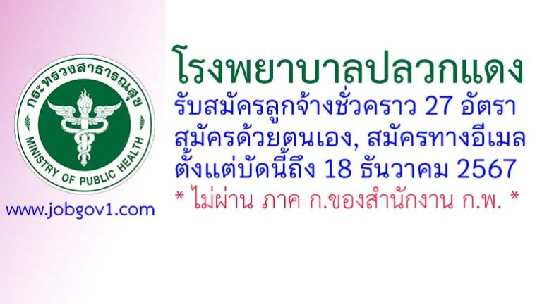 โรงพยาบาลปลวกแดง รับสมัครลูกจ้างชั่วคราว 27 อัตรา