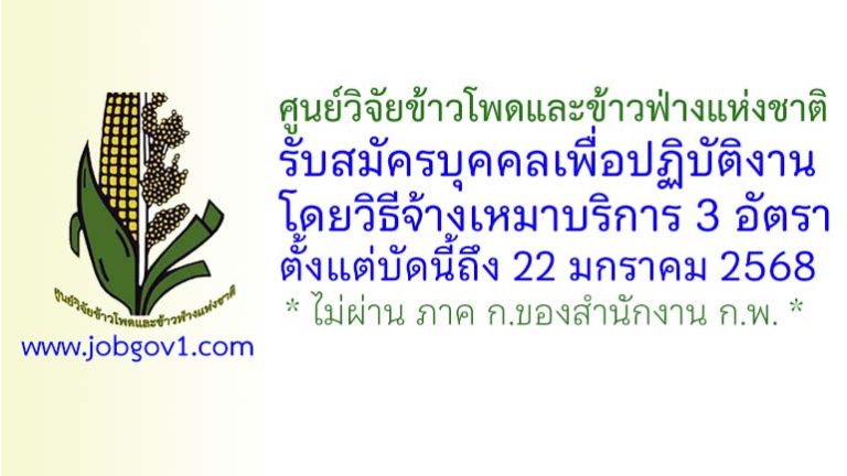 ศูนย์วิจัยข้าวโพดและข้าวฟ่างแห่งชาติ รับสมัครจ้างเหมาบริการ 3 อัตรา