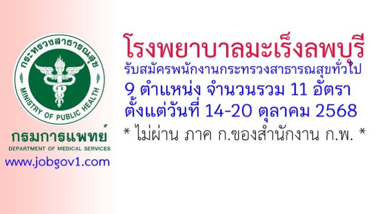 โรงพยาบาลมะเร็งลพบุรี รับสมัครพนักงานกระทรวงสาธารณสุขทั่วไป 11 อัตรา
